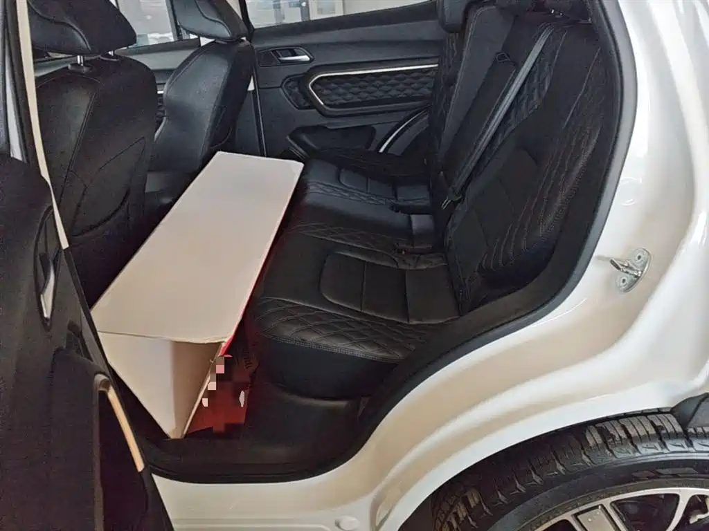 Haval H6 2021 1.5GDIT Automatic Champion Edition фото 17