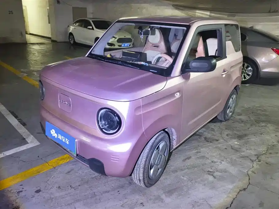 Geely Galaxy Panda 2023 Panda Mini 200km Endurance Bear