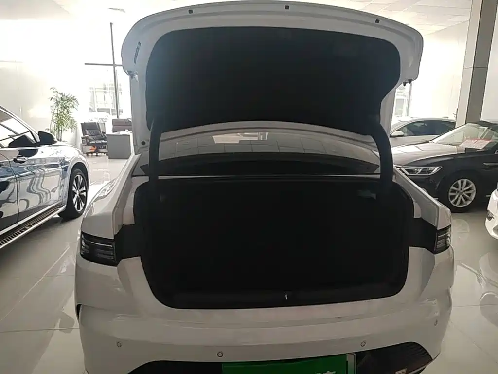 BYD Destroyer 05 2024 2024 Glory Edition DM-i 55KM Luxury