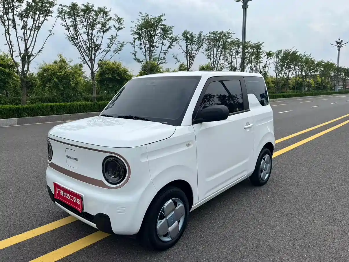 Фото 2 - Geely Galaxy Panda