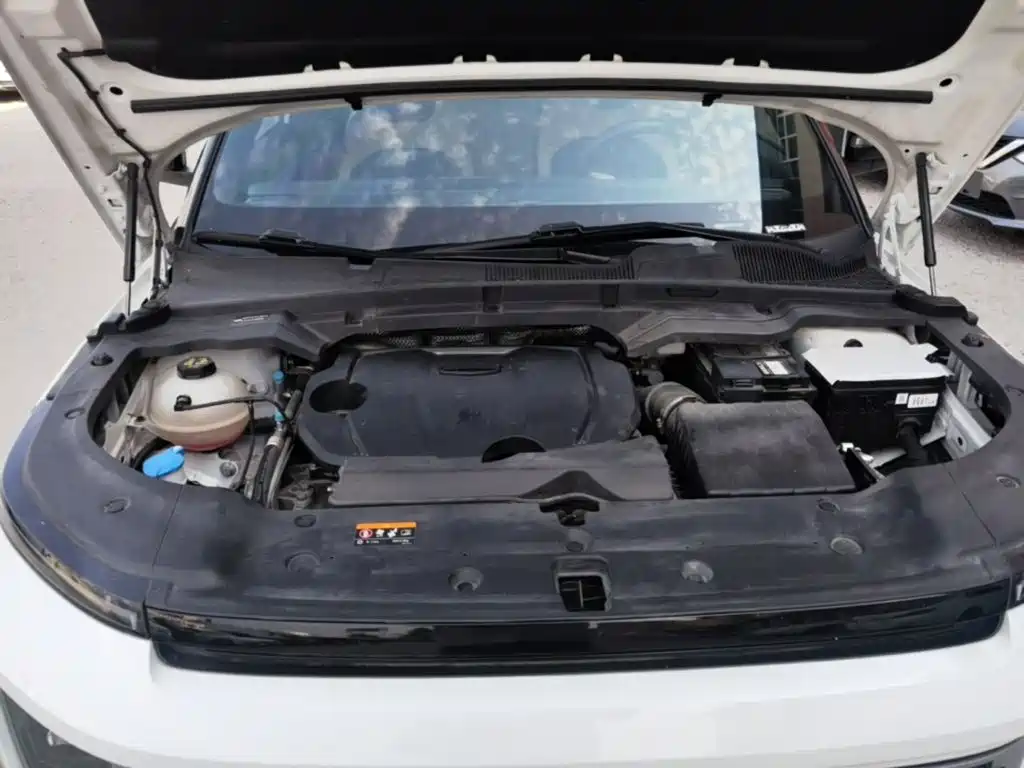 Фото 20 - Geely ICON