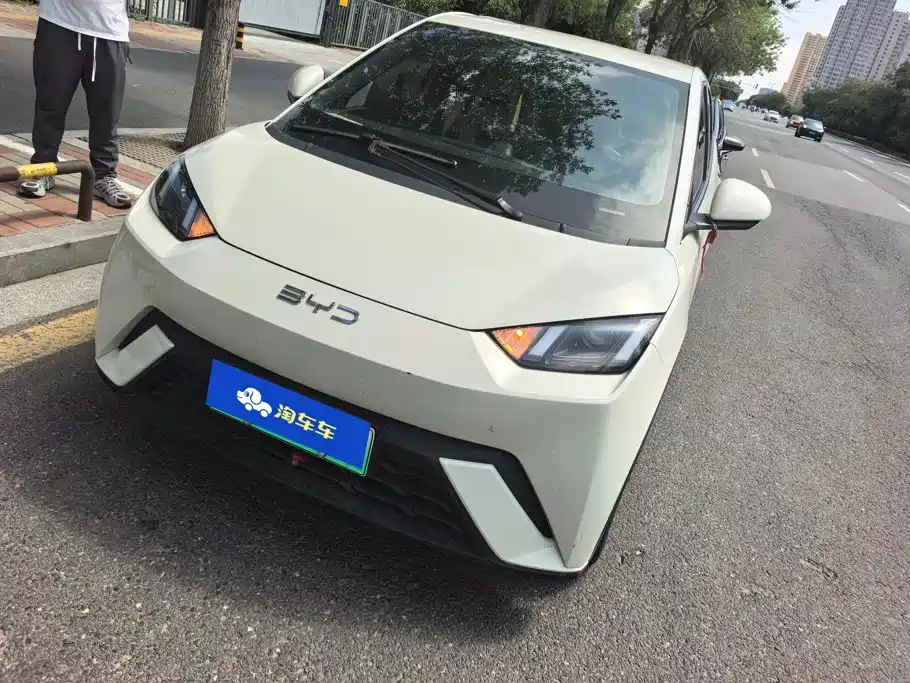 BYD Seagull 2025