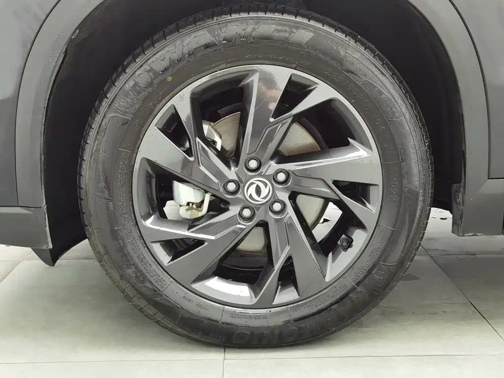 Dongfeng Aeolus SKY EV01 2025 2024 530km PRO
