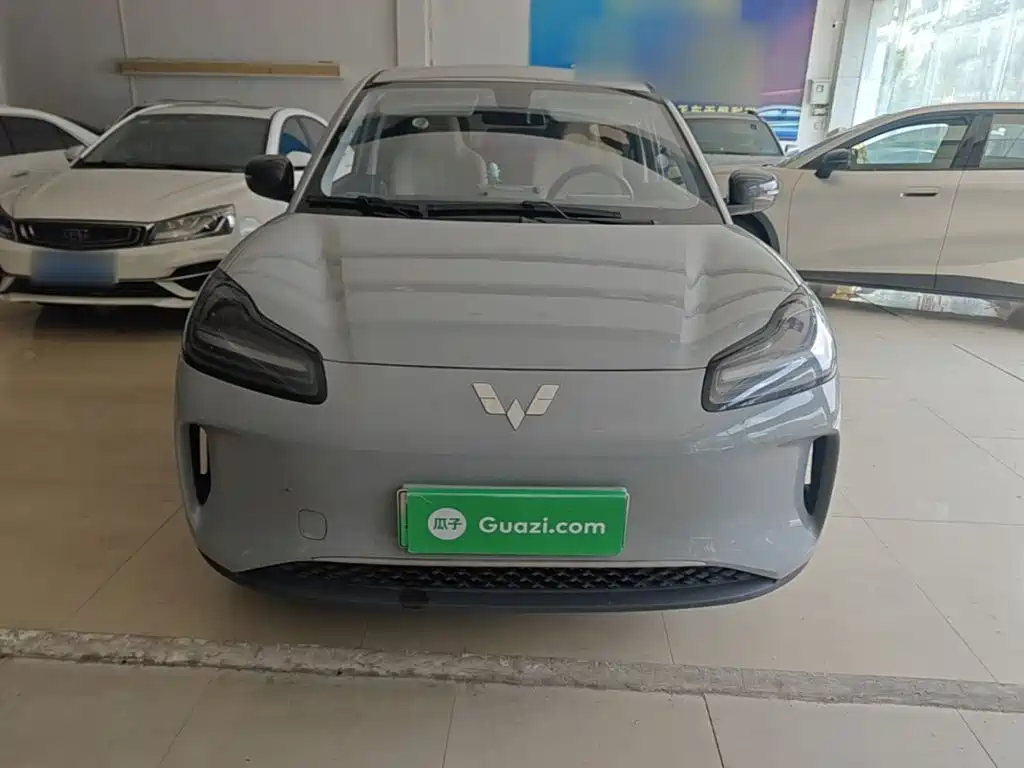 Wuling Motors Wuling Binguo PLUS 2024 2024 Model 330km 5-Seater