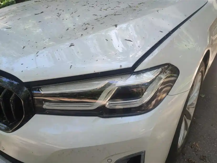 BMW 5 SERIES NEW ENERGY