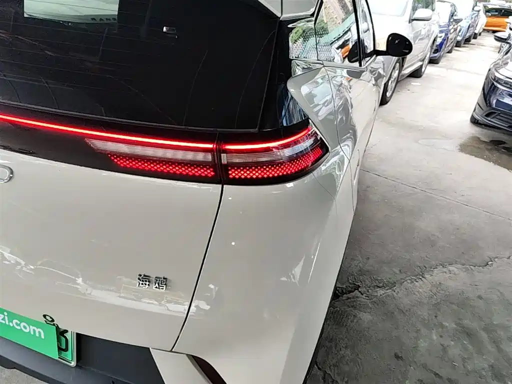 BYD Seagull 2024 Glory Edition 305km Vitality Edition фото 8