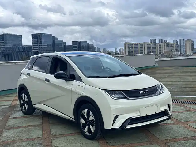 BYD Dolphin Слава, 420km, Стиль