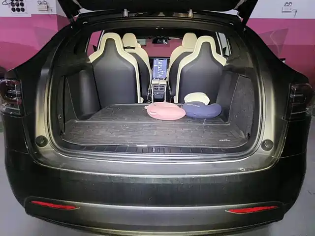 Tesla Model X 2020 Long Range Upgrade — фото 5
