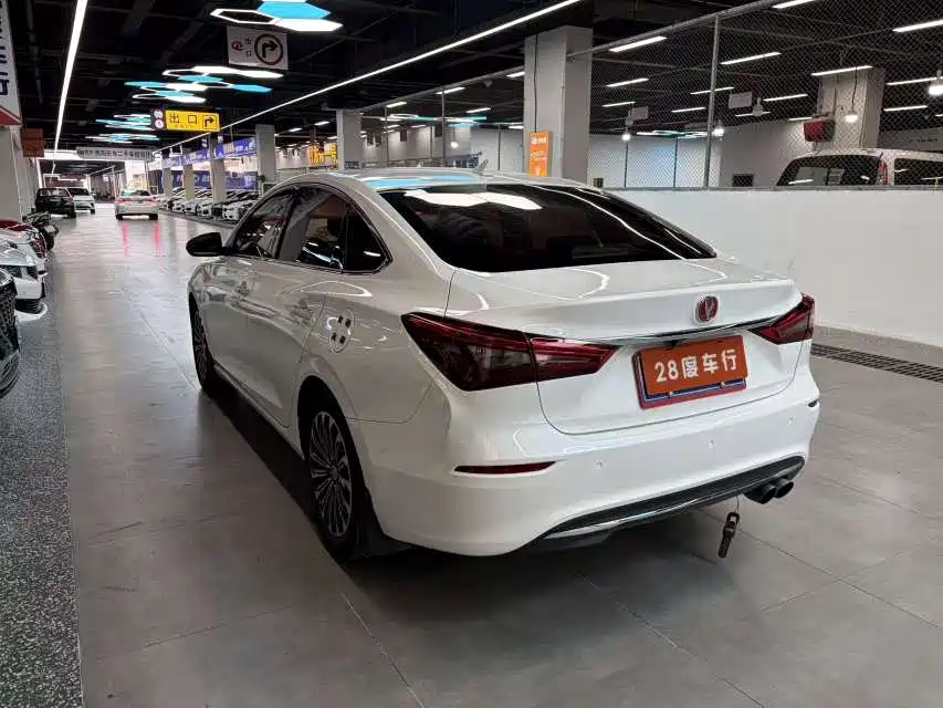 Фото 7 - Changan Eado