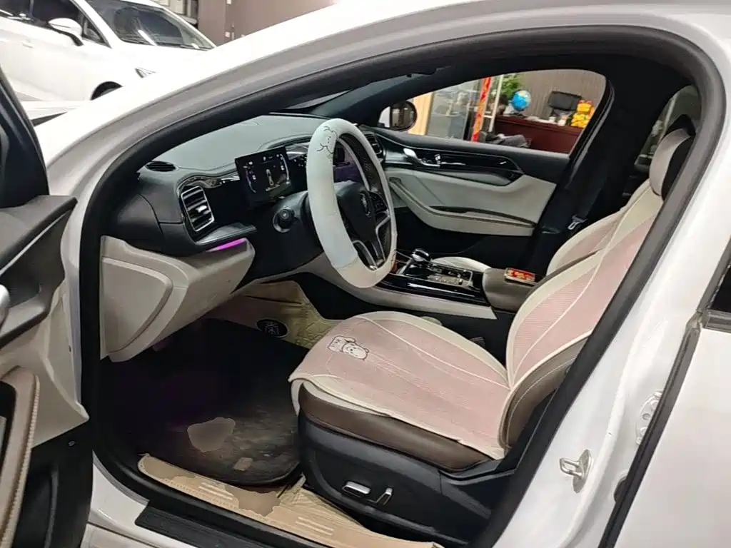 Photo 15 - BYD Qin PLUS