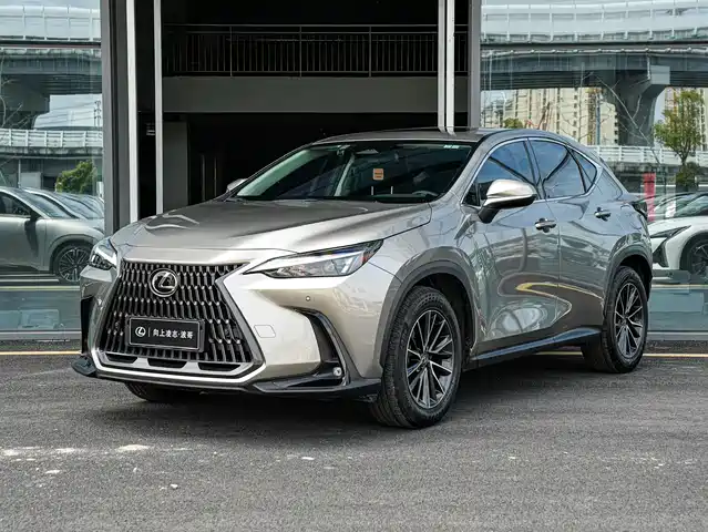  Lexus Lexus NX New Energy 2022 400h+ Joy Edition