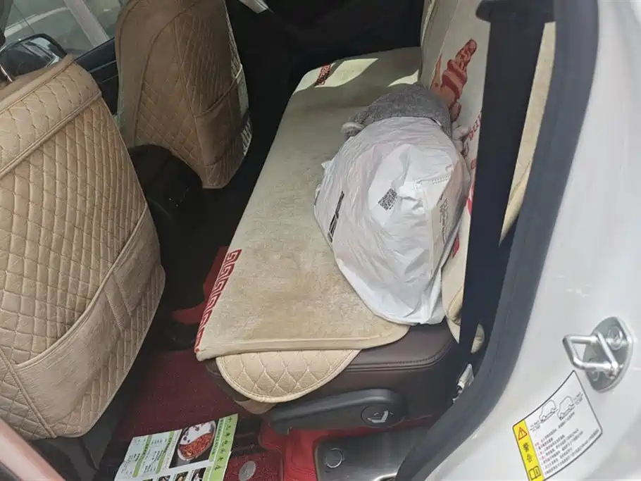 Haval H9 2022 2.0T Gasoline 4WD Luxury 7-seater фото 11