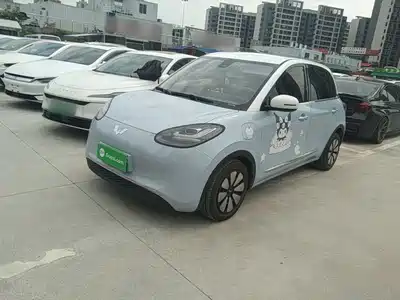 Wuling Bingo