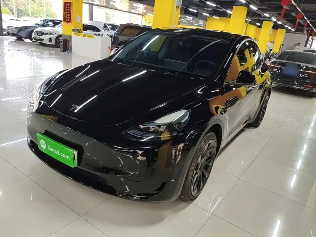 Tesla Model Y 2022 Rear-Wheel Drive Version