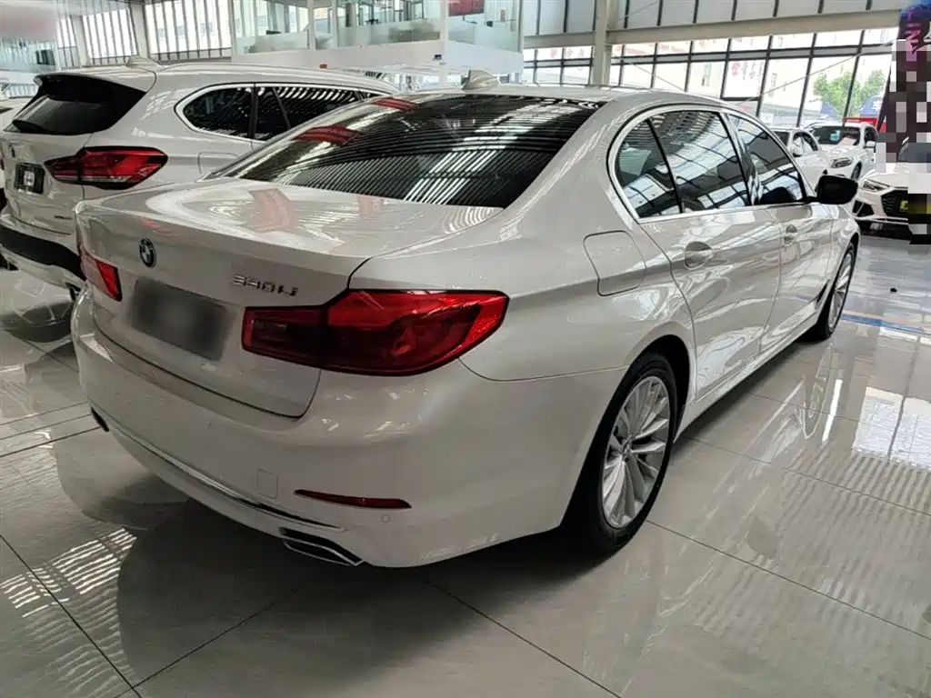 BMW 5 Series 2019 Facelift 530Li Leading Luxury Package фото 7