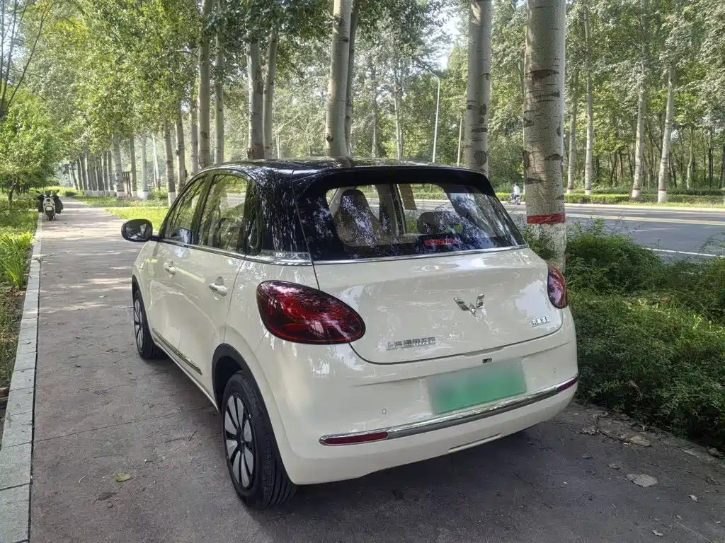 Wuling Motors Wuling Bingo 2026 2025 Model 333km Joy Edition