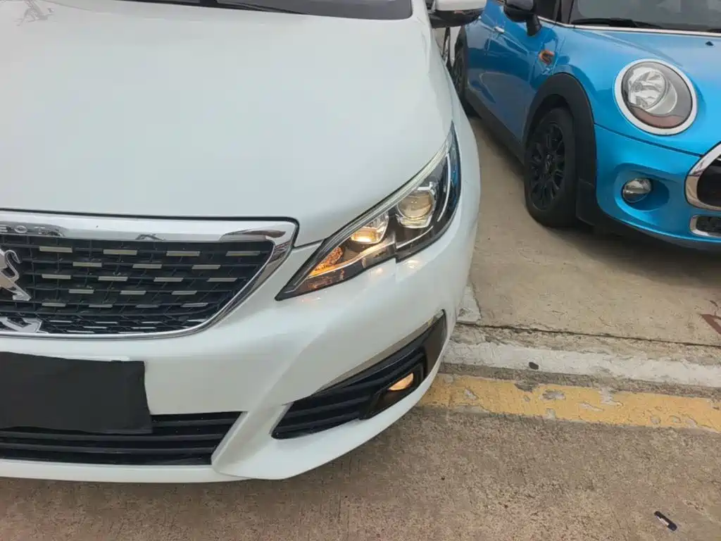 صورة 24 - Peugeot 308