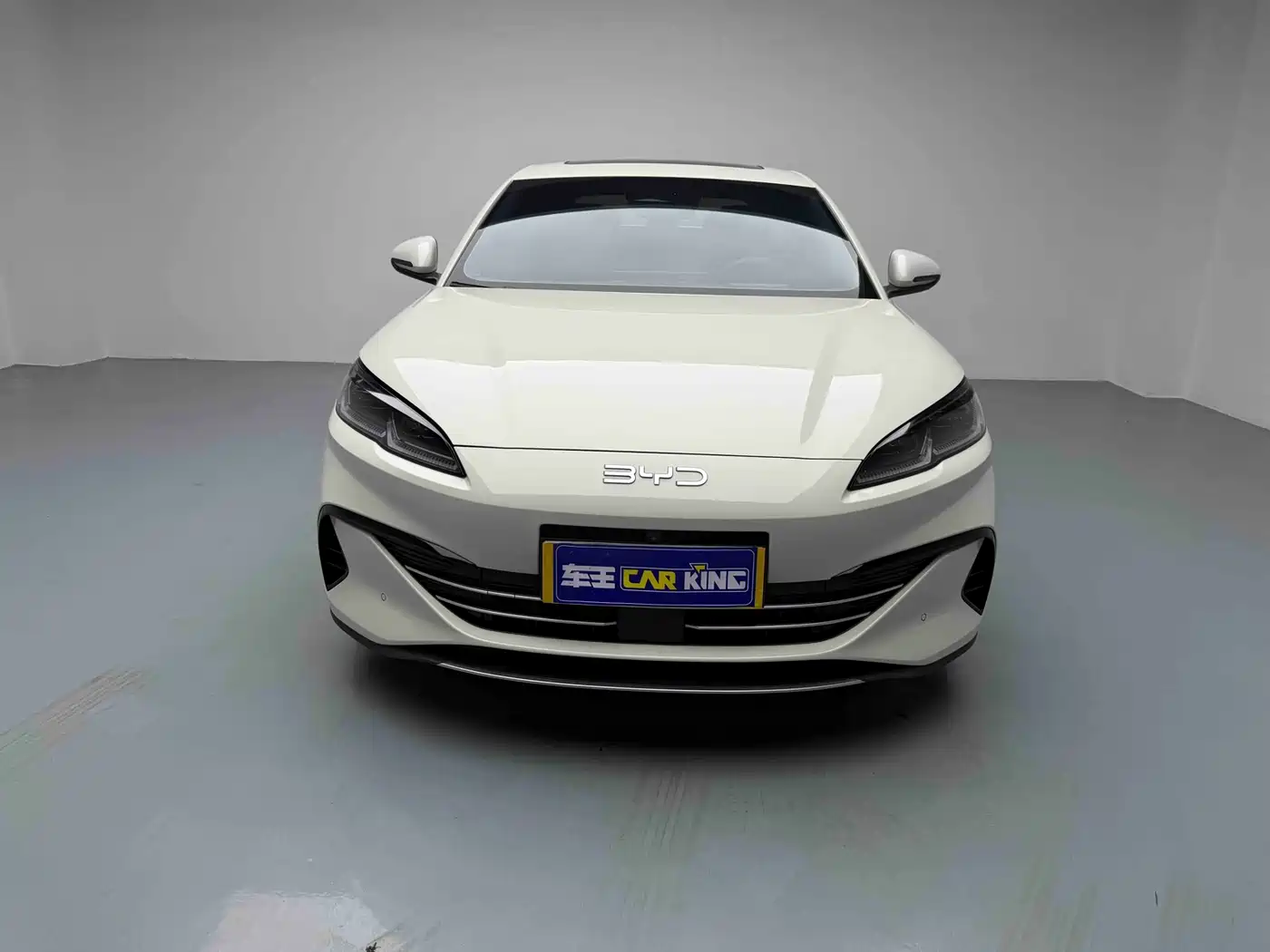 BYD Seal 06 New Energy 2024 DM-i 120KM Flagship фото 2