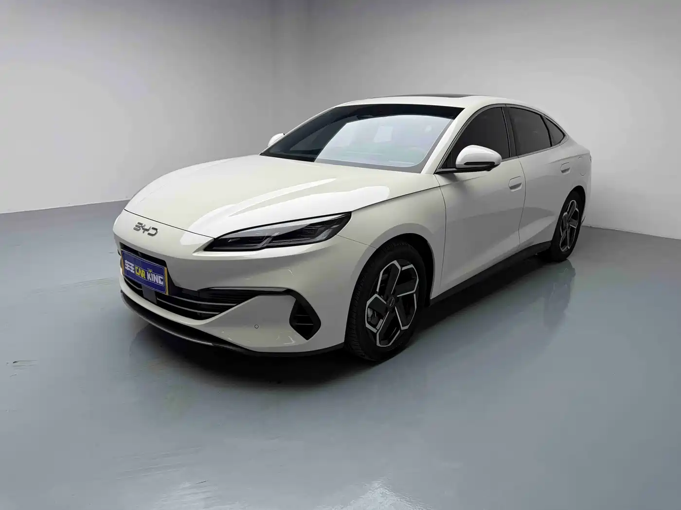 BYD Seal 06 New Energy 2024 DM-i 120KM Flagship
