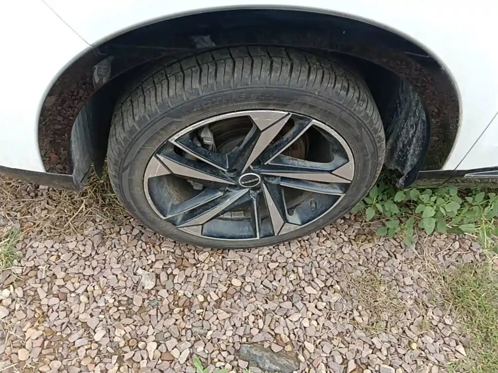 Roewe RX5 MAX 2023 2022 1.5T Auto Promising Luxury Edition
