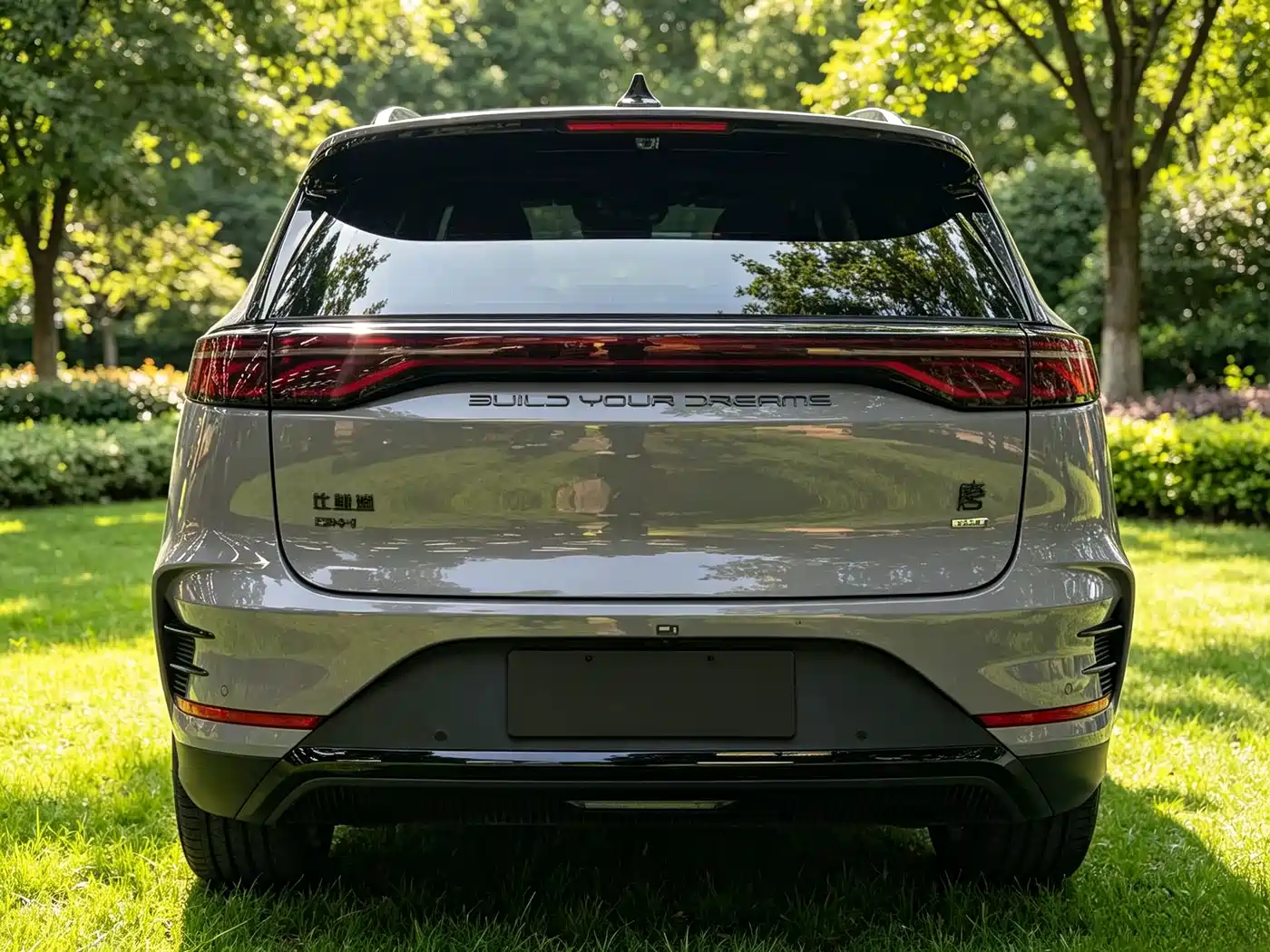2025 BYD Tang New Energy