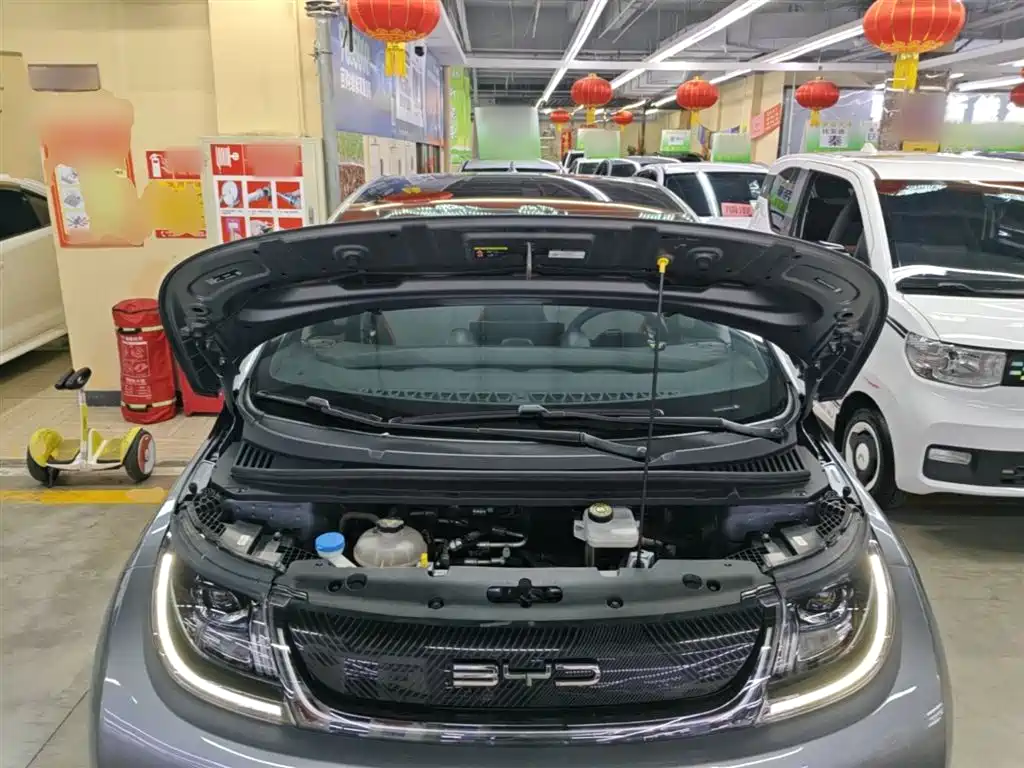 BYD Dolphin 2021 Model 405km Fashion Edition фото 20