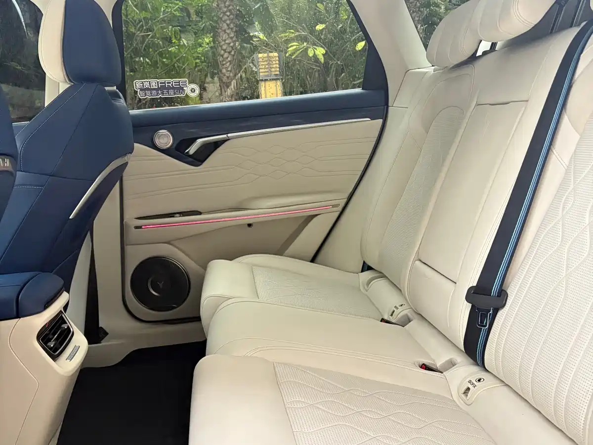 Voyah Auto VOYAH FREE 2021 AWD Standard Pure Electric Exclusive Luxury Package фото 9