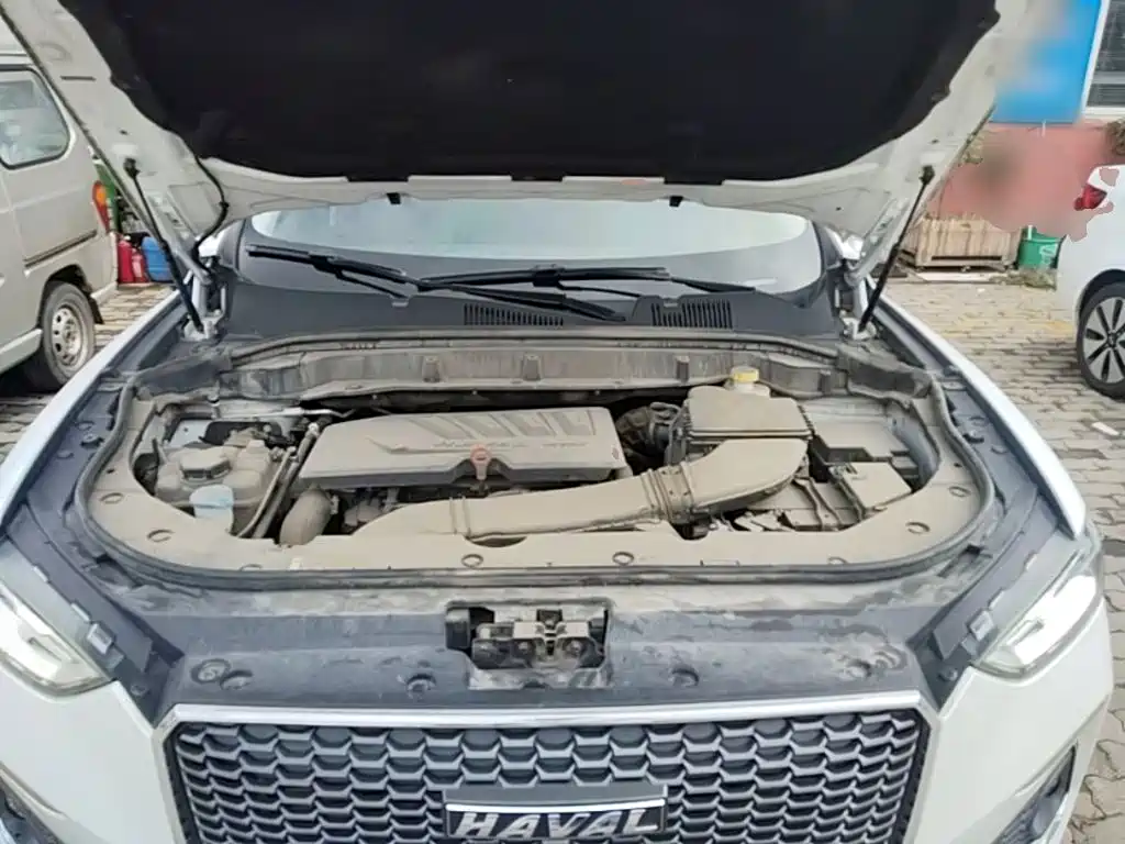 Haval F5 2019 2019 National Trend Edition 1.5T iStyle China VI