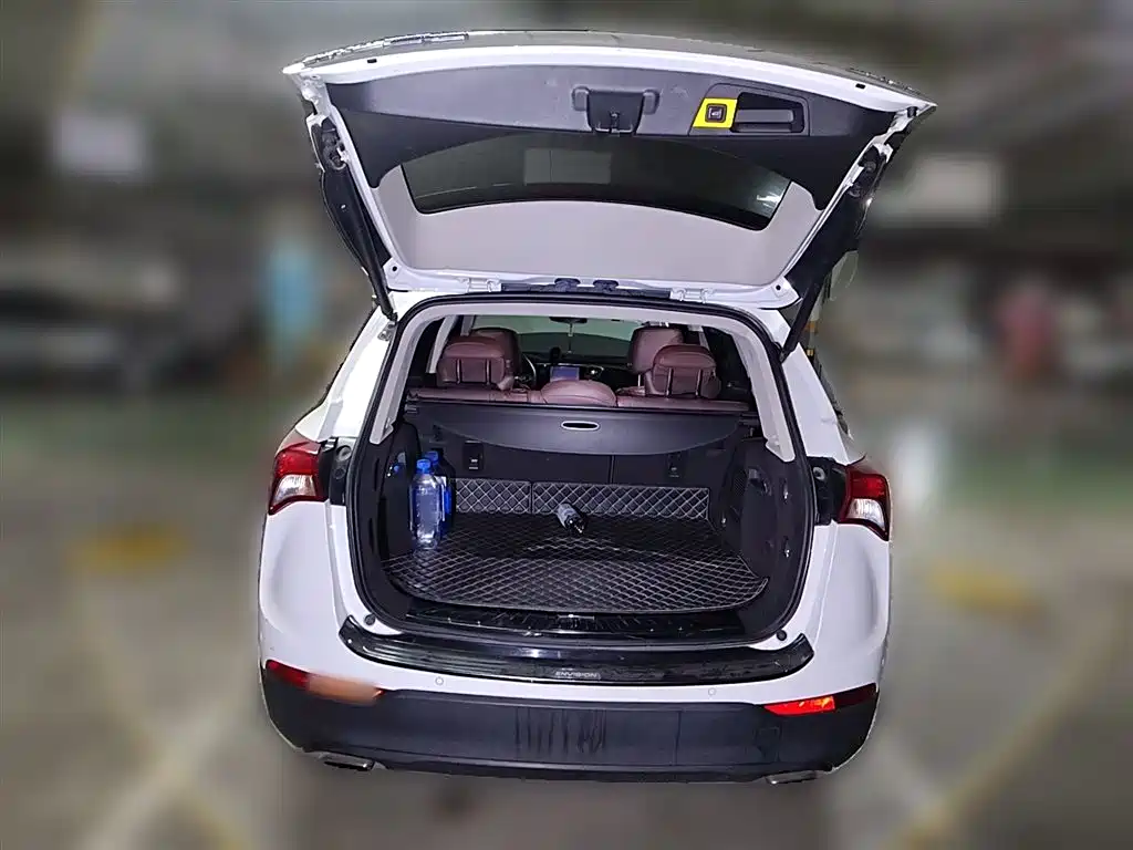 Buick Envision Plus 2019 28T 4WD Elite Type China V фото 10