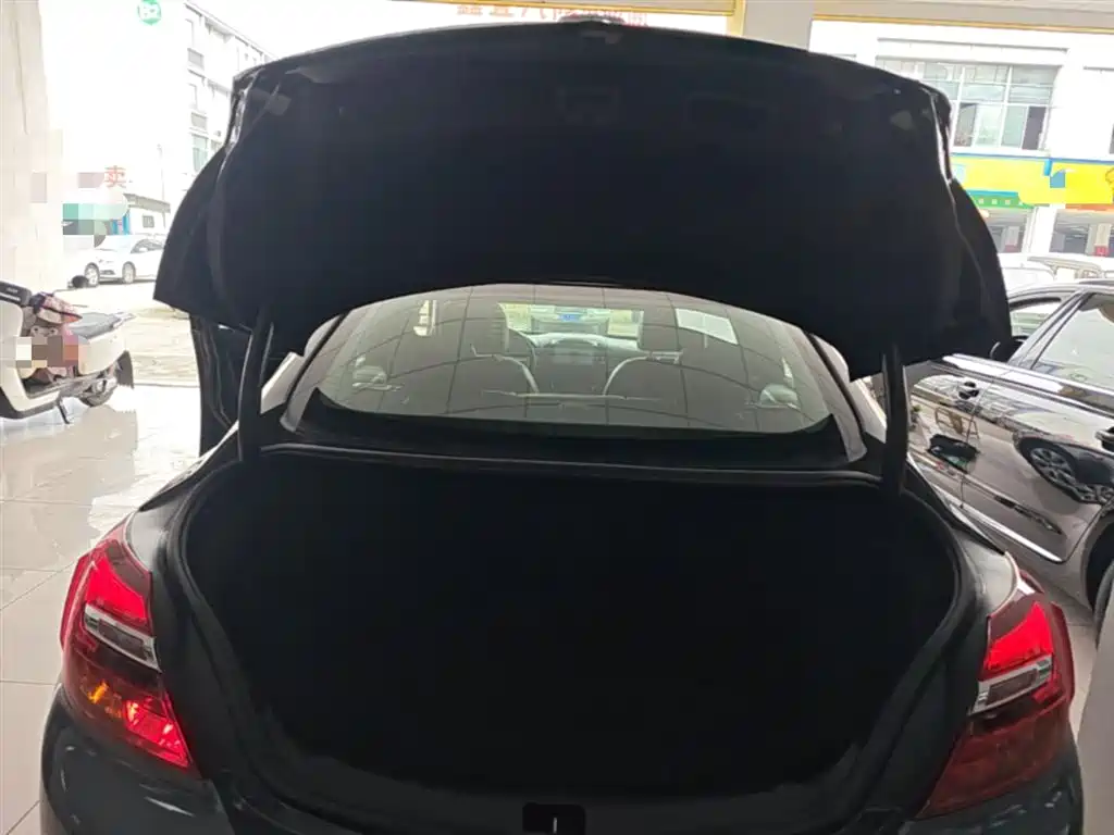 Buick Regal 2015 1.6T Leading Tech Edition фото 19