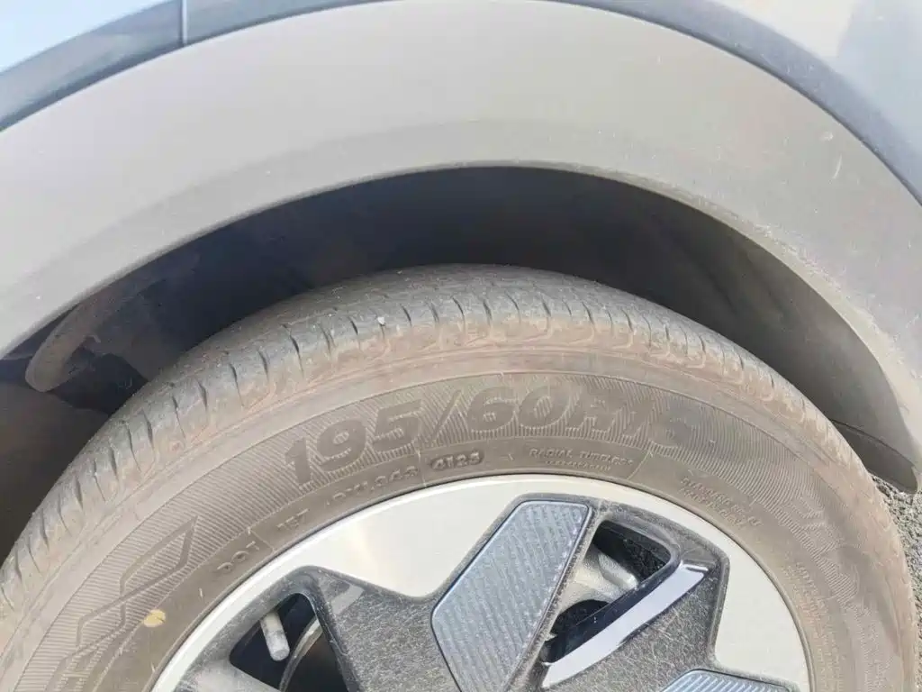 BYD Dolphin 2026 2025 420km Freedom Edition