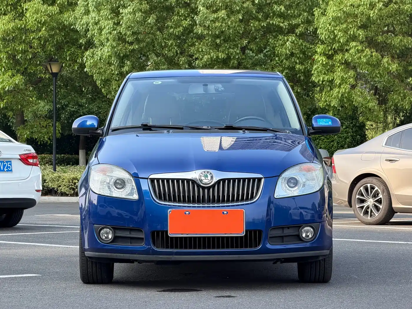 Škoda Fabia 2011 1.6L Automatic Crystal Edition фото 2