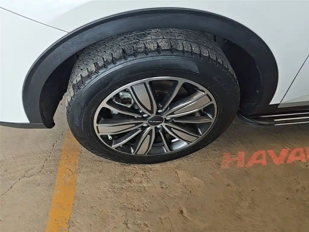 Haval H6 2021 1.5GDIT Automatic Champion Edition фото 23