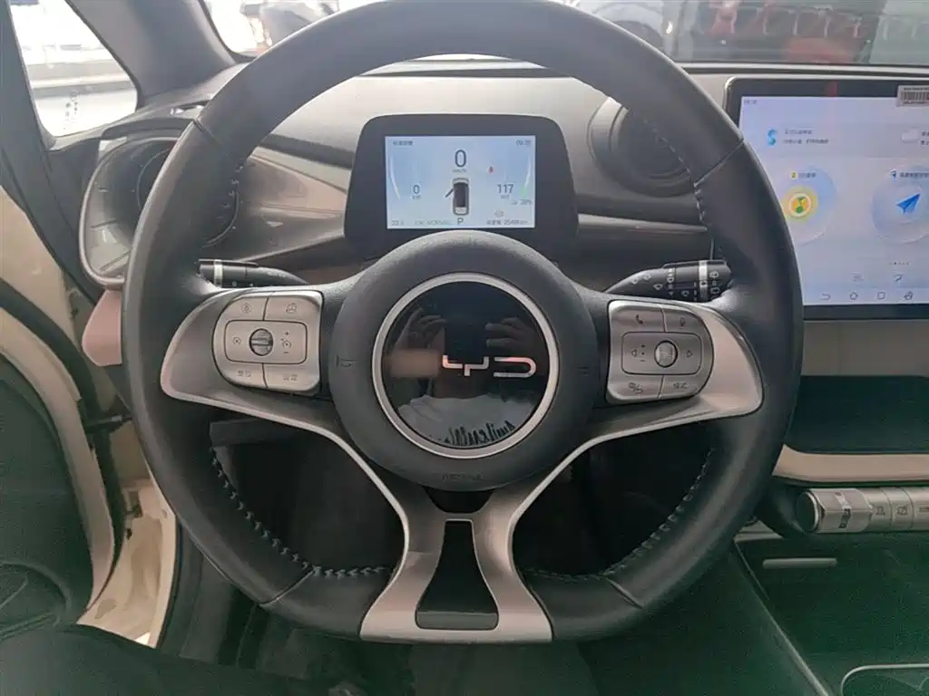 BYD Dolphin 2024 Glory Edition 420km Fashion Edition фото 11
