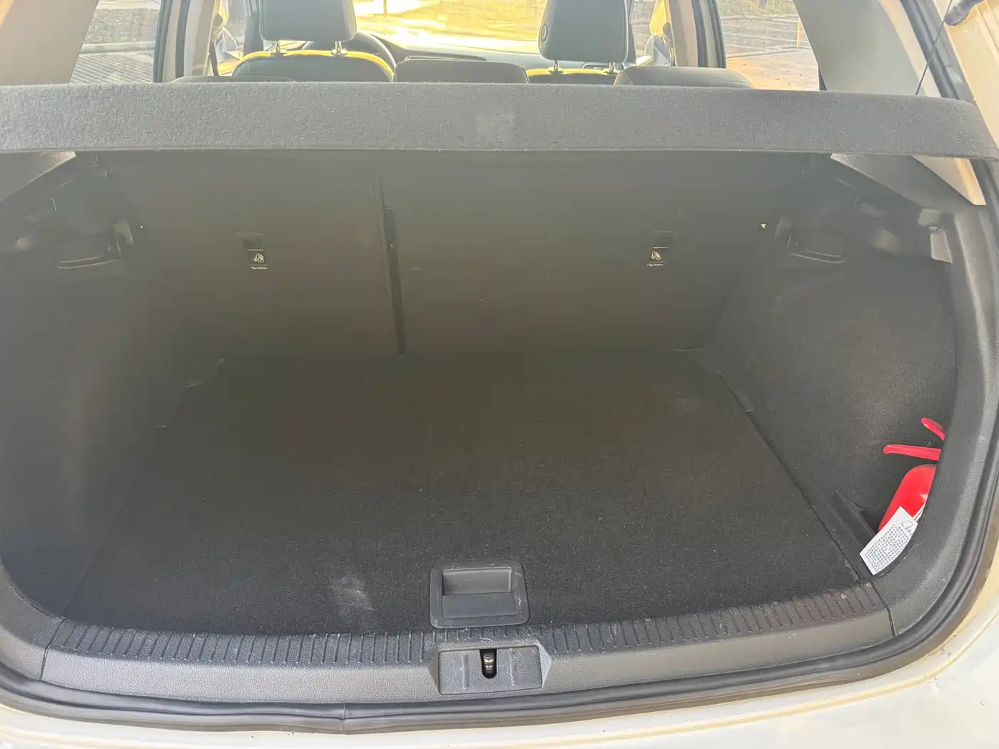 VOLKSWAGEN GOLF*PURE ELECTRICITY