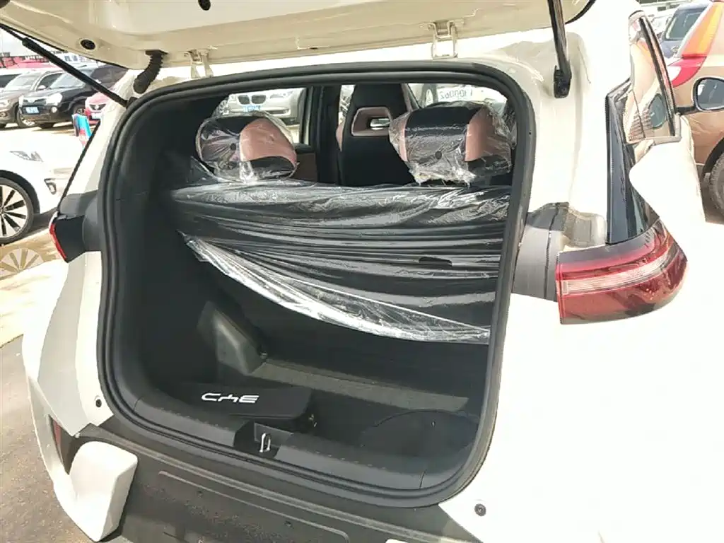 BYD Seagull 2025 Smart Drive Edition 305km Vitality Version фото 19