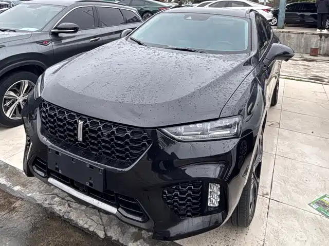 WEI PAI WEI BRAND VV7