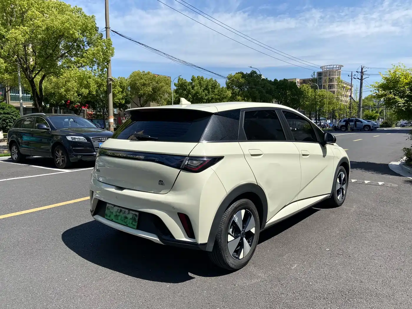 BYD Dolphin 2023 420km Freedom Edition фото 14