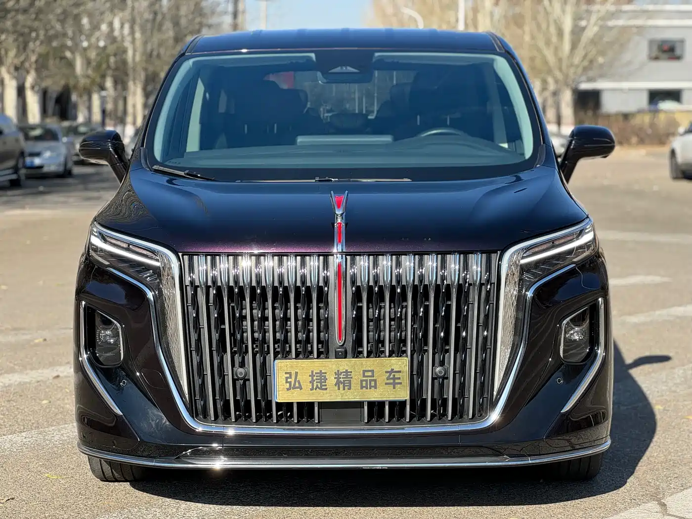 Hongqi HONGQI HQ9