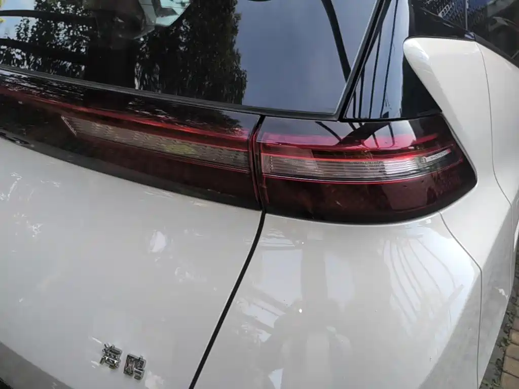 Фото 8 - BYD Seagull