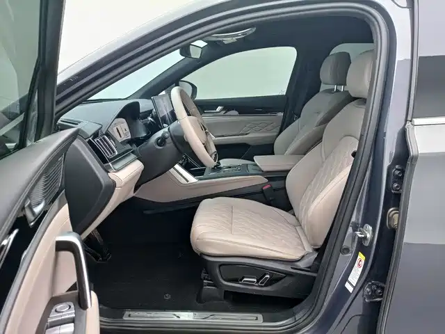 BYD Tang New Energy 2024 2024 DM-i Honor Edition 112KM Premium