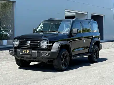 Tank 300