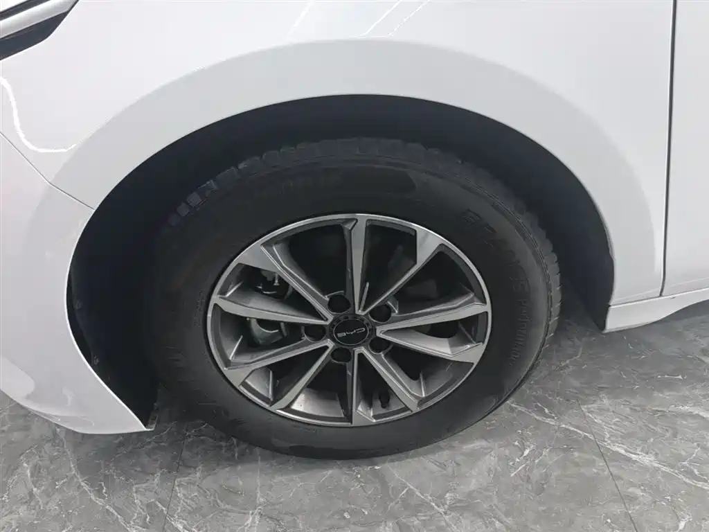 BYD Destroyer 05 2024 Glory Edition DM-i 55KM Luxury фото 23