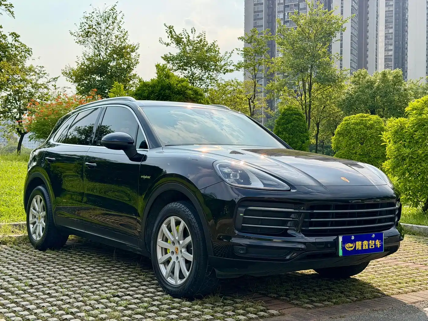 Porsche Cayenne New Energy 2019 2019 Cayenne E-Hybrid 2.0T