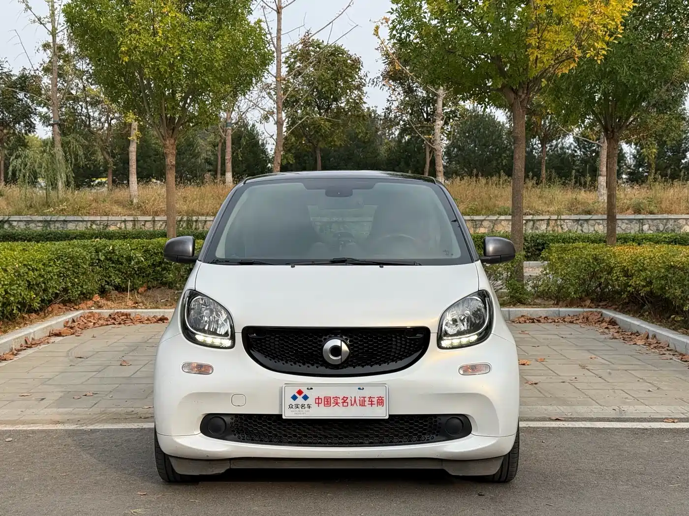 smart fortwo 2019 2019 0.9T 66kW Hardtop Dynamic Edition China VI
