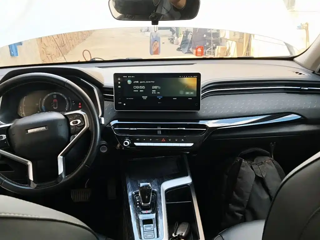 Haval Chitu 2023 2022 Power Edition 1.5T Purple Copper Rabbit