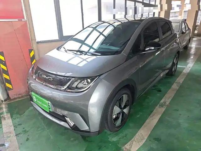 BYD Dolphin 420km, Стиль