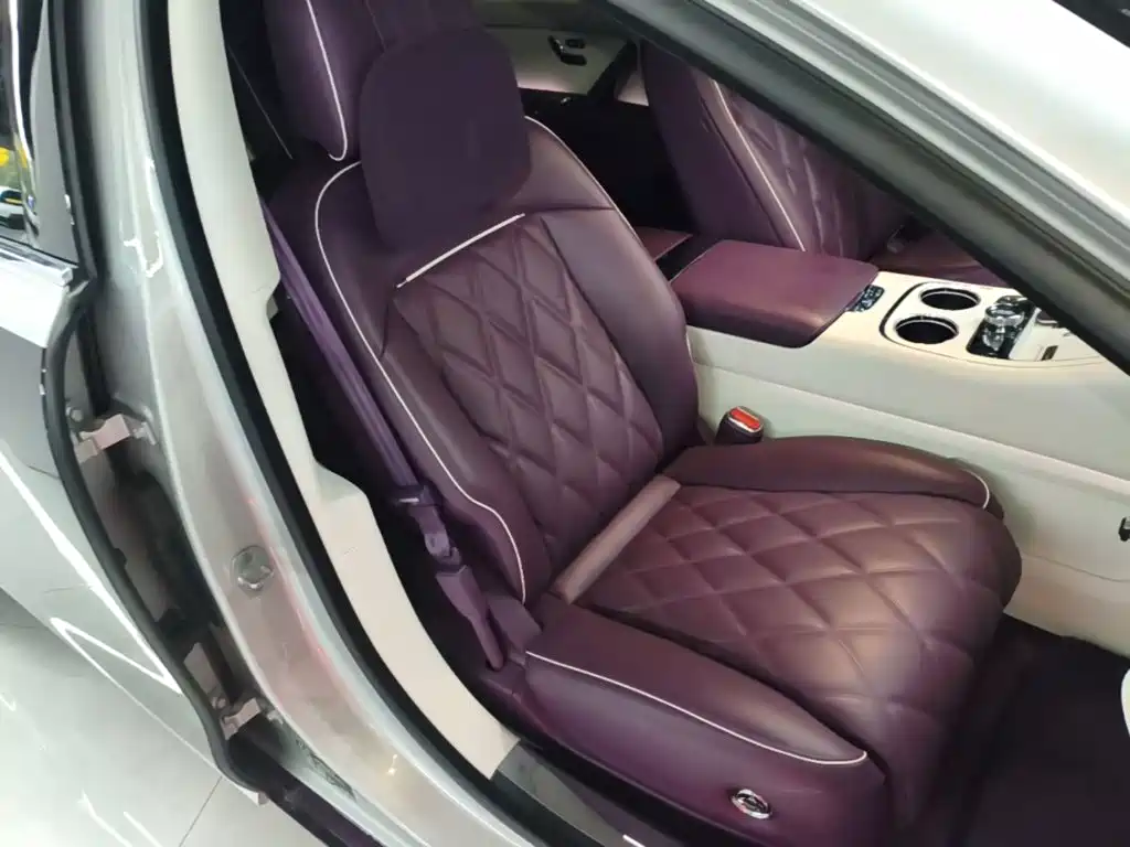 Zunjie S800 2025 2025 Model Extended Range Starlight Executive Edition 4-seater