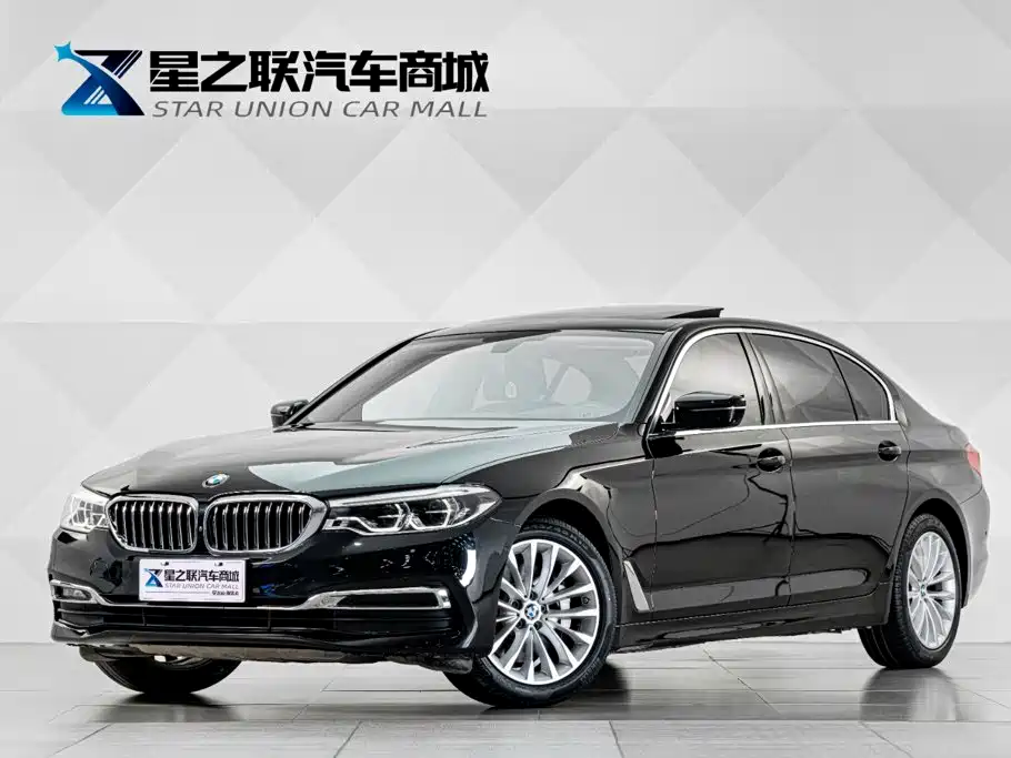 BMW 5 Series 2020 530Li Premium Luxury Package