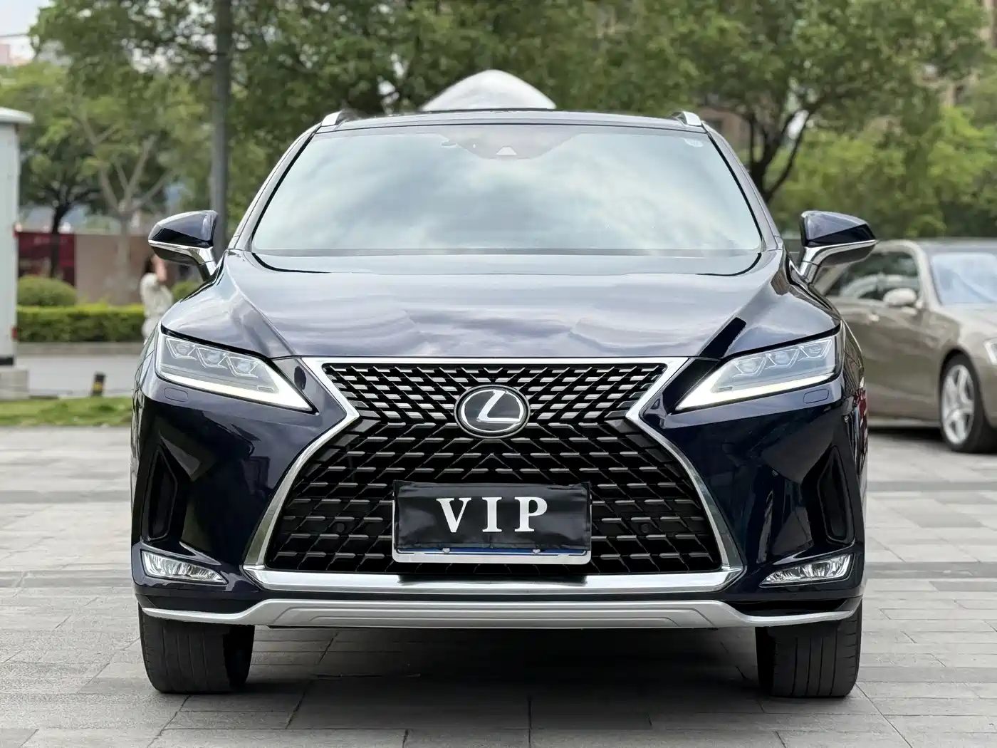 Lexus RX 2020 Facelift 300 AWD Elegance Edition фото 2